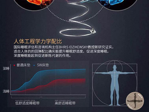 湖南省茵源家居用品有限公司,藍月亮床墊,墨爾本床墊,薰衣草床墊,中國結(jié)床墊